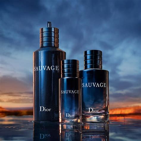 dior sauvage shower gel ingredients|sephora dior sauvage ingredients.